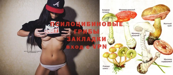 МДПВ Аркадак