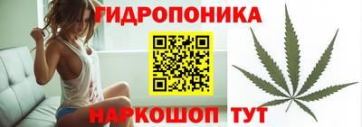 молекула духа Красноармейск