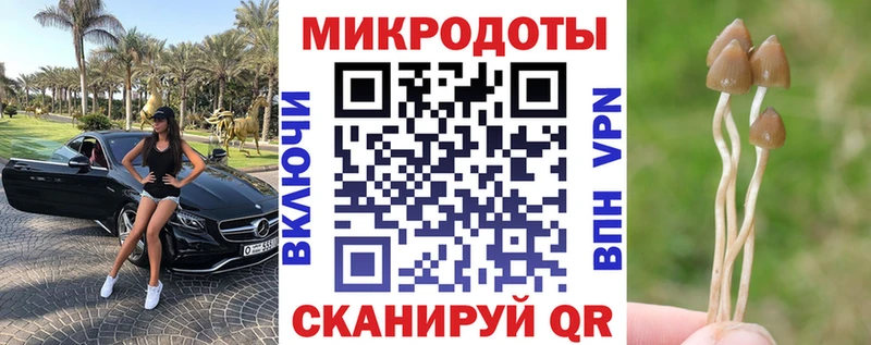 купить наркотик  Карабулак  OMG ONION  Галлюциногенные грибы мицелий 