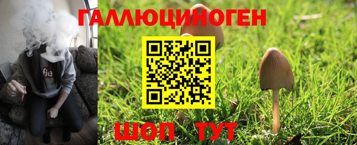Псилоцибиновые грибы мухоморы  Вход с VPN  Галлюциногенные грибы мухоморы  Карабулак 