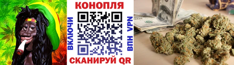 Каннабис сатива где купить наркоту Карабулак
